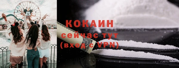 твердый Пестово