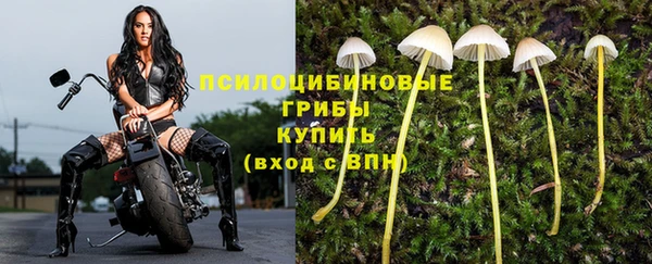 твердый Пестово