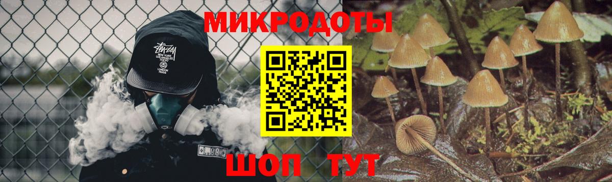 Псилоцибиновые грибы прущие грибы Тавда