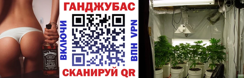 сколько стоит  Тавда  мега ССЫЛКА  Марихуана планчик 